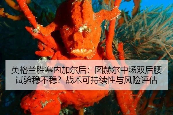 ying-ge-lan-sheng-sai-nei-jia-er-hou-tu-he-er-zhong-chang-shuang-hou-yao-shi-yan-wen-bu-wen-zhan-shu-ke-chi-xu-xing-yu-1-612.jpg