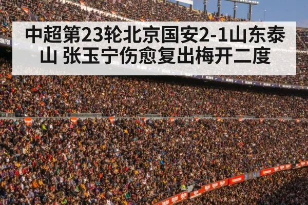 football stadium crowd